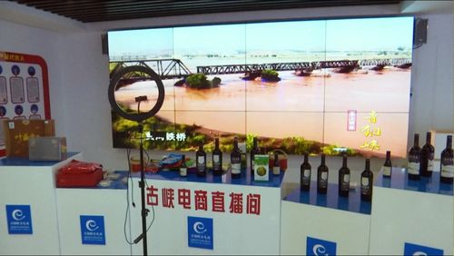 京東集團(tuán)西北區(qū)總部考察青銅峽市電子商務(wù)服務(wù)，共謀區(qū)域數(shù)字經(jīng)濟(jì)發(fā)展新篇章